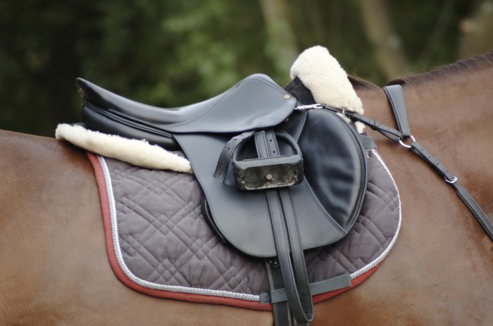 Where to find a good saddle ?