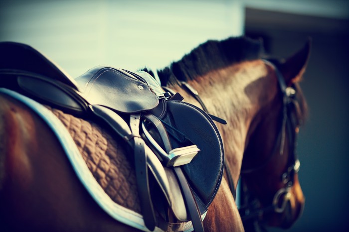 Find the best saddle brands on Equitack website !